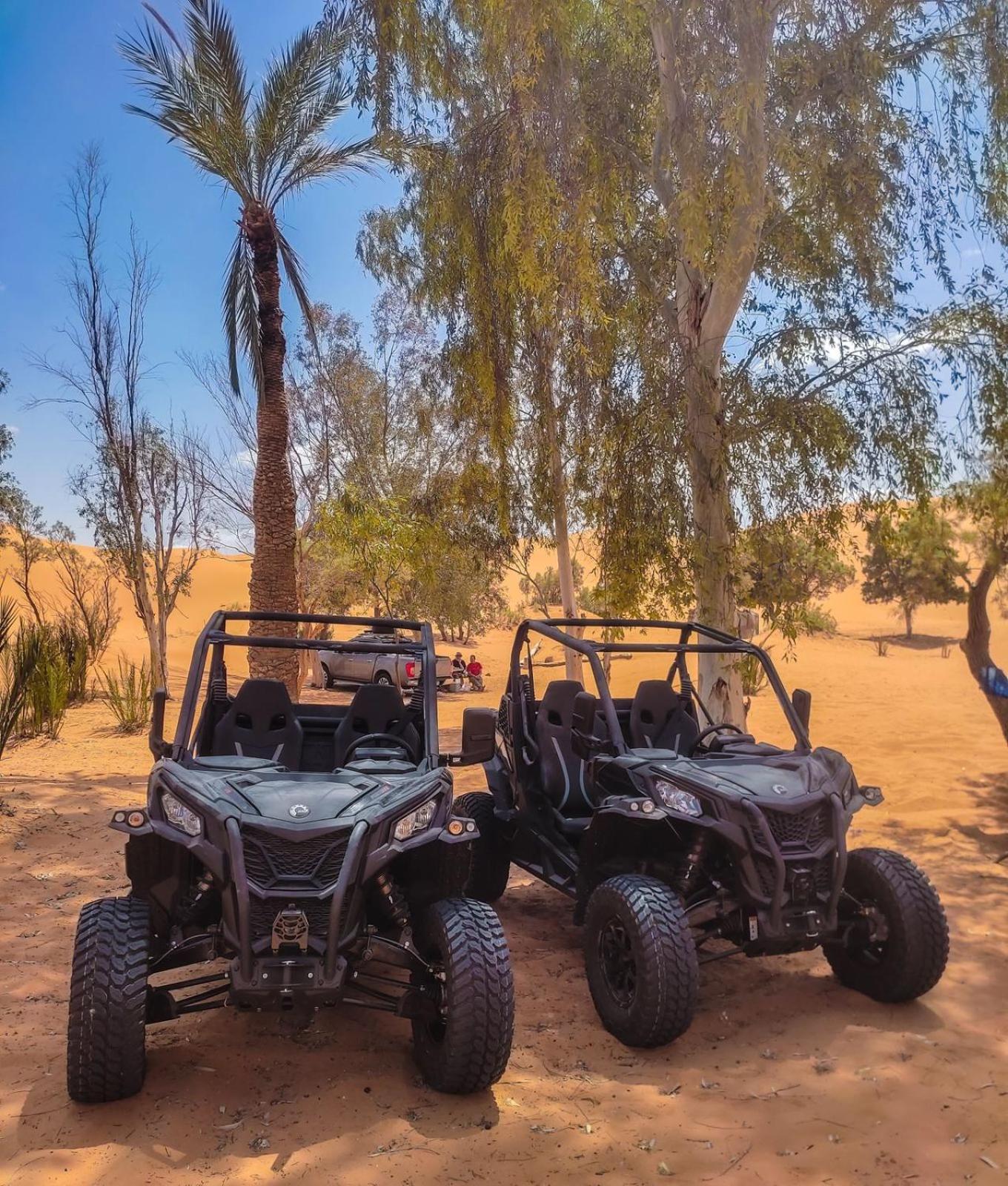 Merry Desert Camp